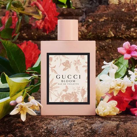 fragrantica gucci bloom|gucci bloom fragrance.